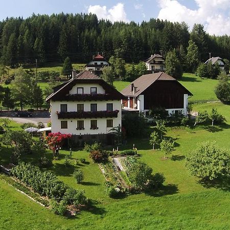 Appartamento Haus Pfarrkirchner Mauterndorf  Esterno foto