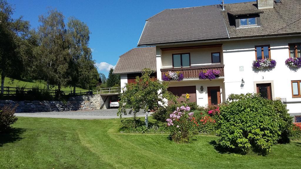 Appartamento Haus Pfarrkirchner Mauterndorf  Esterno foto