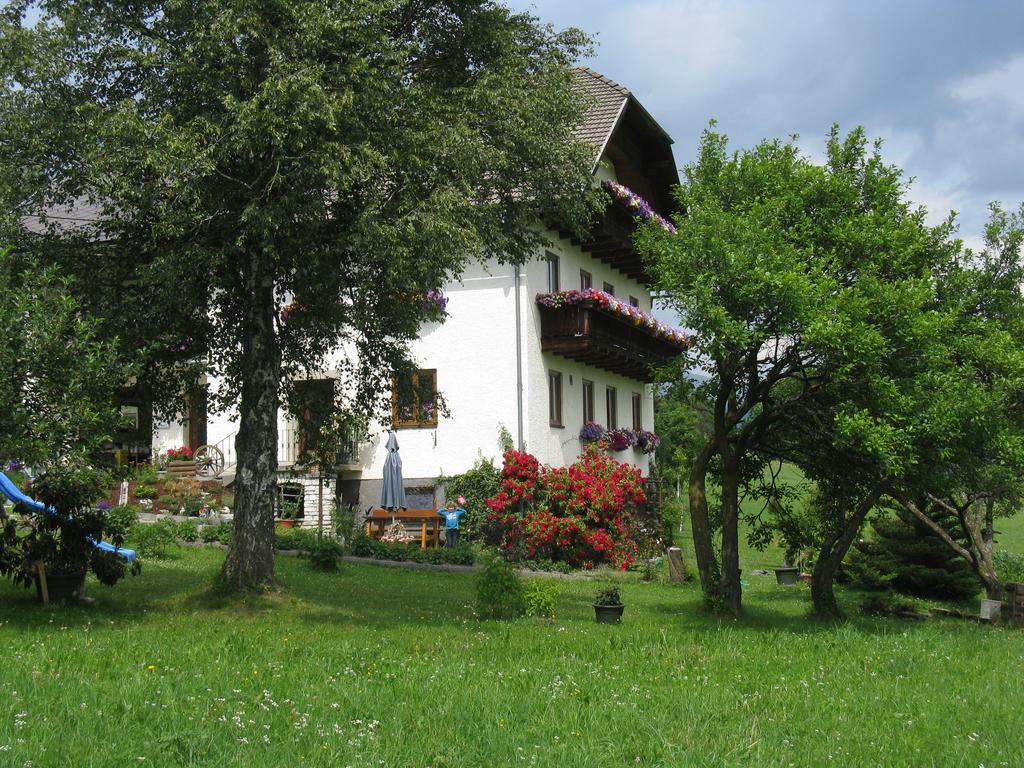 Appartamento Haus Pfarrkirchner Mauterndorf  Esterno foto